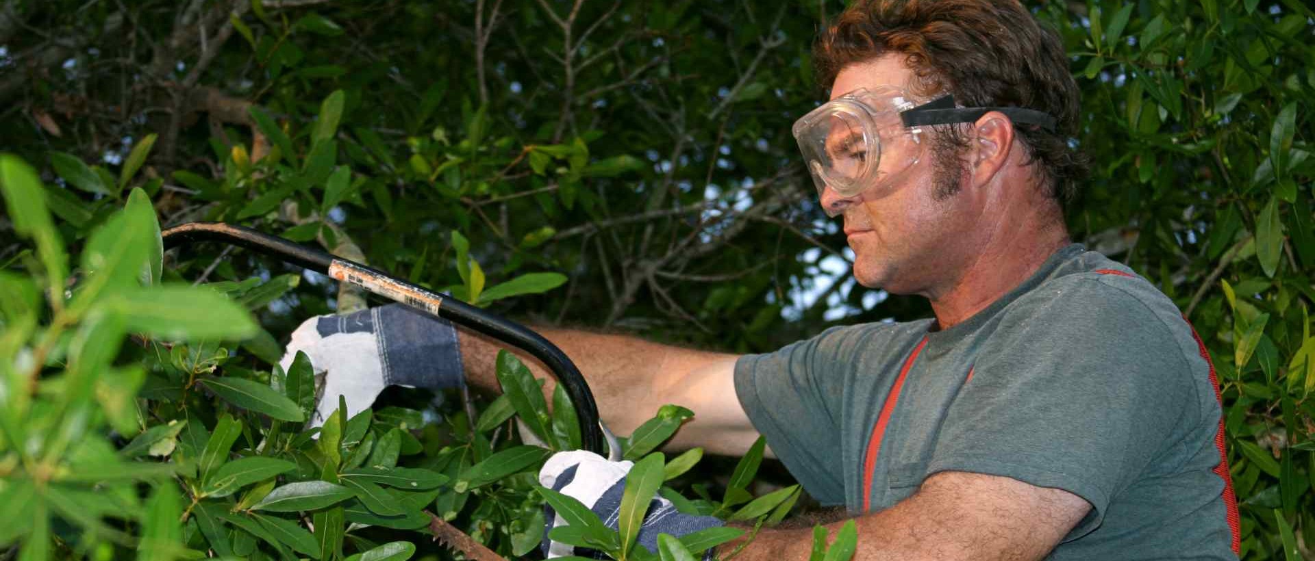 garden clearance HA5