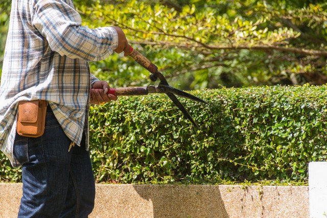Garden Maintenance Pinner, Eastcote, Hatch End, HA5